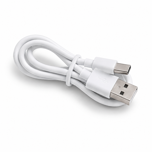 Standard Charger